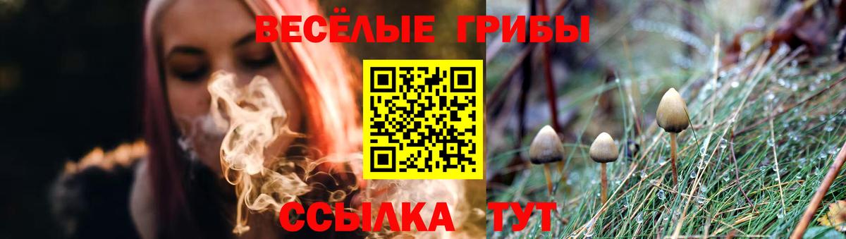 Псилоцибиновые грибы Psilocybine cubensis  где купить наркоту  Верхний Уфалей  Вход с VPN 
